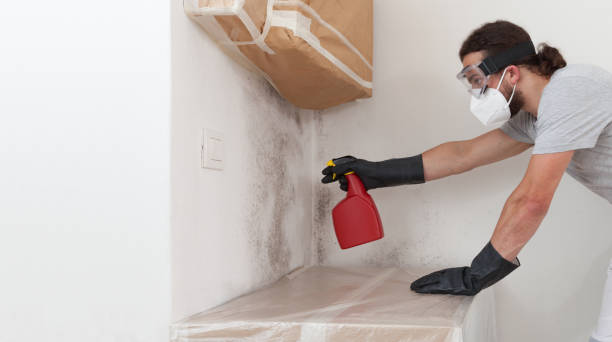Professional Crawl Space Mold Remediation technician working in Fairfax, MN